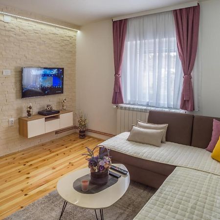Vojinovic Apartman جابلياك المظهر الخارجي الصورة